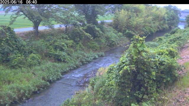 藤川 東之内下橋下流側（鳥取）Live Image