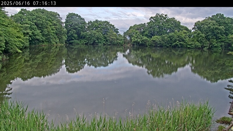 山田溜公園ため池中段（山田）Live Image